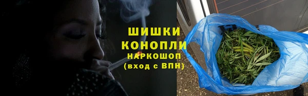 индика Баксан