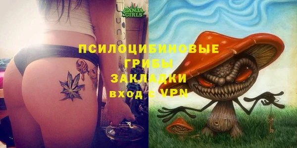 Альфа ПВП Балабаново