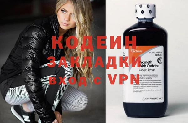 индика Баксан