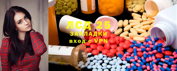 индика Баксан